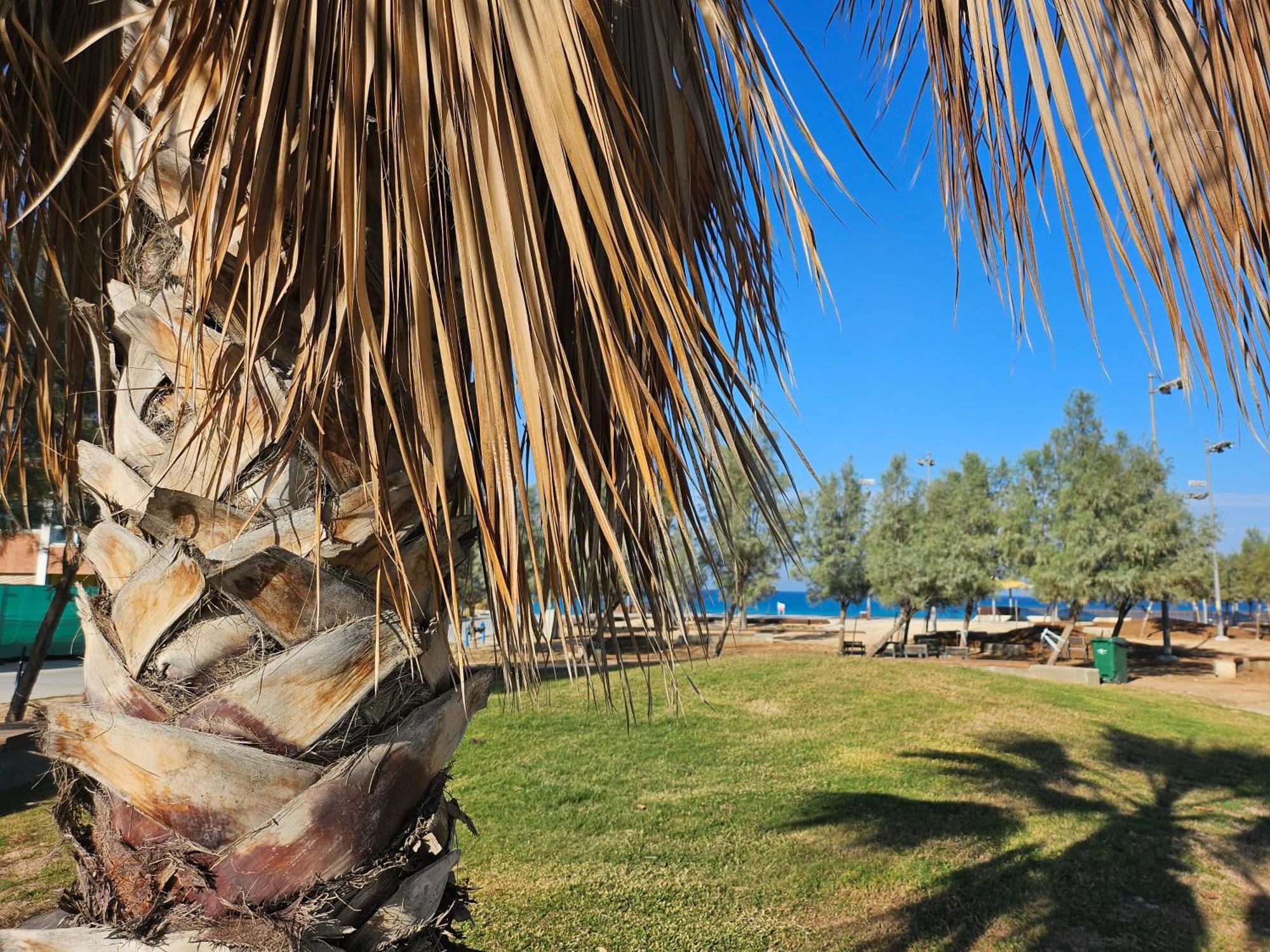 אשדוד Angel Apt-Amazing Seaview-Netfix-Wifi-Free Parking מראה חיצוני תמונה